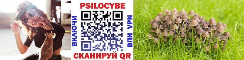 Галлюциногенные грибы мухоморы  Евпатория 